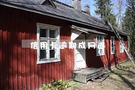 信用卡逾期成网逃