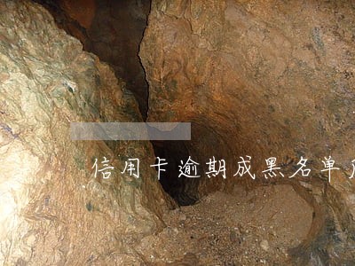 信用卡逾期成黑名单后果 信用卡逾期成黑名单后果