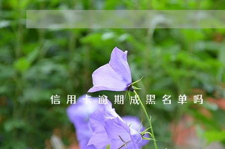 信用卡逾期成黑名单吗 信用卡逾期成黑名单吗