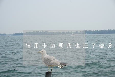 信用卡逾期我也还了部分 信用卡逾期我也还了部分