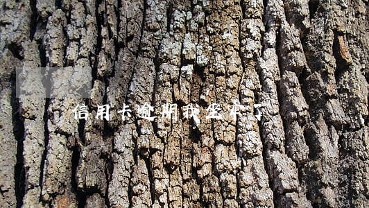 信用卡逾期我坐牢了 信用卡逾期我坐牢了