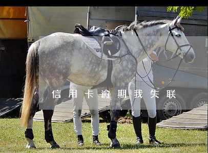信用卡逾期我失联 信用卡逾期我失联