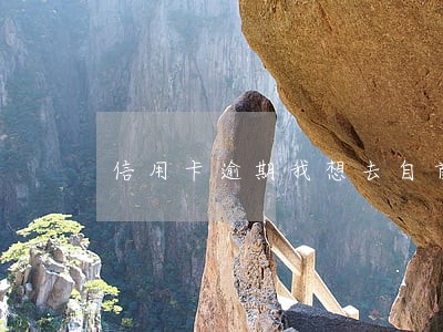 信用卡逾期我想去自首 信用卡逾期我想去自首