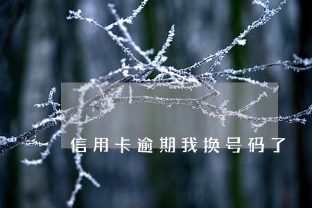信用卡逾期我换号码了 信用卡逾期我换号码了