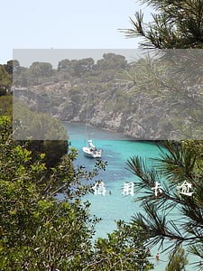信用卡逾期我生不如死 信用卡逾期我生不如死