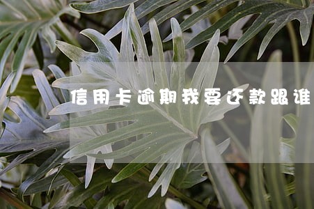 信用卡逾期我要还款跟谁沟通 信用卡逾期我要还款跟谁沟通