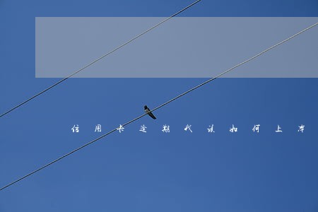 信用卡逾期我该如何上岸 信用卡逾期我该如何上岸