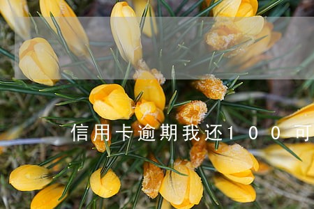 信用卡逾期我还100可以吗 信用卡逾期我还100可以吗