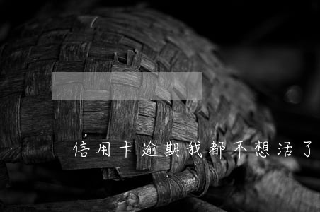 信用卡逾期我都不想活了