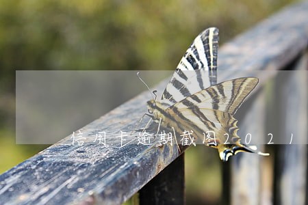 信用卡逾期截图2021年7月份