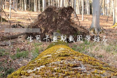信用卡逾期截图带姓名