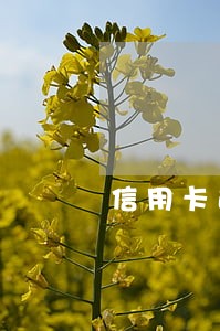 信用卡逾期户口本有影响么 信用卡逾期户口本有影响么