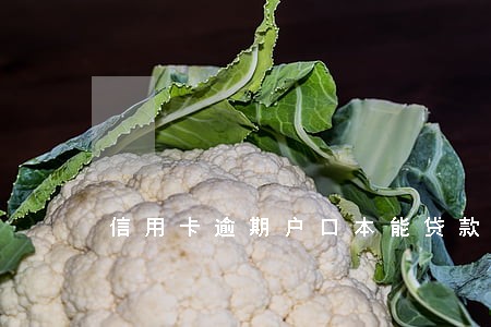 信用卡逾期户口本能贷款吗 信用卡逾期户口本能贷款吗