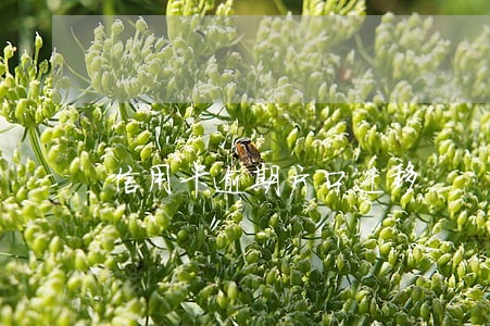 信用卡逾期户口迁移 信用卡逾期户口迁移
