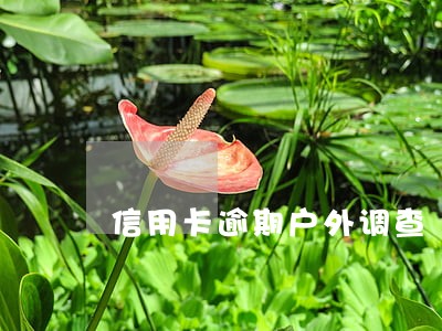 信用卡逾期户外调查 信用卡逾期户外调查