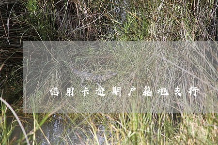 信用卡逾期户籍地支行 信用卡逾期户籍地支行
