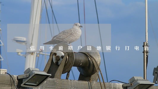 信用卡逾期户籍地银行打电话 信用卡逾期户籍地银行打电话