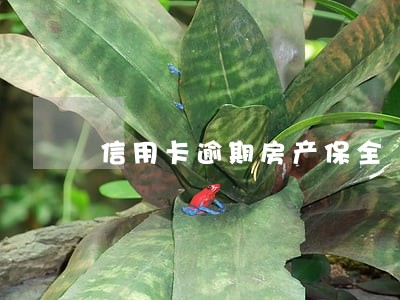 信用卡逾期房产保全 信用卡逾期房产保全