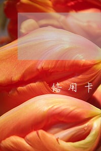 信用卡逾期房产拍卖流程 信用卡逾期房产拍卖流程