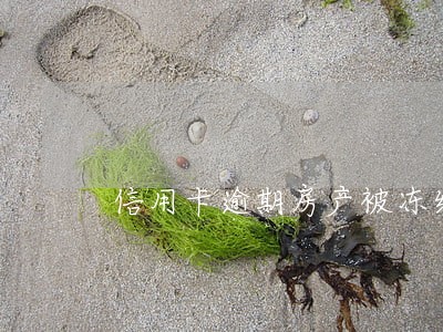 信用卡逾期房产被冻结多久解冻 信用卡逾期房产被冻结多久解冻