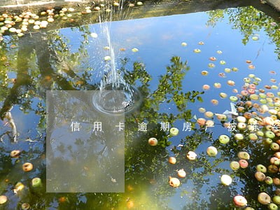 信用卡逾期房产被冻结怎么办 信用卡逾期房产被冻结怎么办