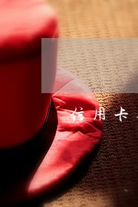 信用卡逾期房子可以拍卖么 信用卡逾期房子可以拍卖么