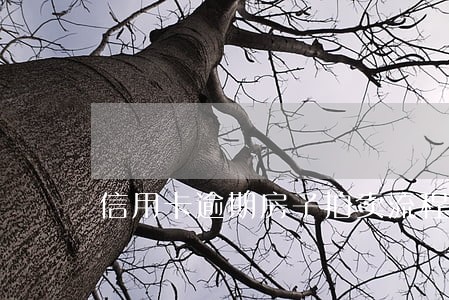信用卡逾期房子拍卖流程 信用卡逾期房子拍卖流程
