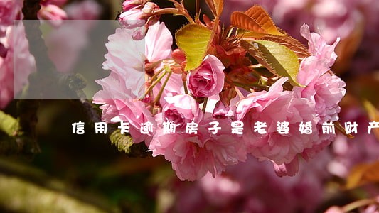 信用卡逾期房子是老婆婚前财产 信用卡逾期房子是老婆婚前财产