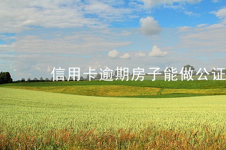 信用卡逾期房子能做公证么
