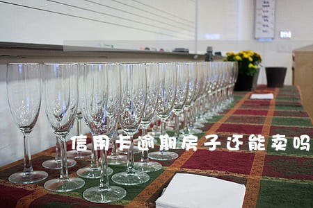 信用卡逾期房子还能卖吗 信用卡逾期房子还能卖吗