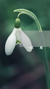 信用卡逾期房屋按揭 信用卡逾期房屋按揭