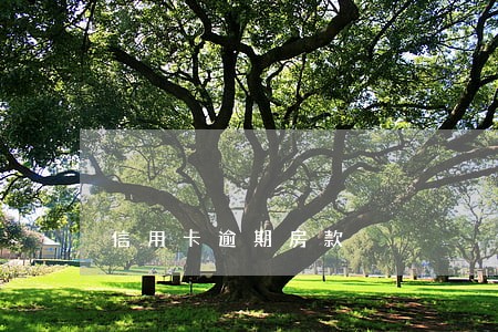 信用卡逾期房款 信用卡逾期房款