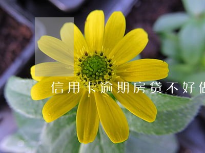 信用卡逾期房贷不好做怎么办 信用卡逾期房贷不好做怎么办