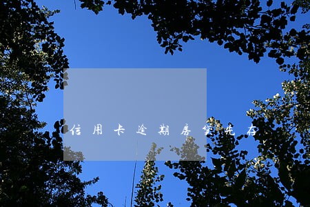 信用卡逾期房贷先存 信用卡逾期房贷先存
