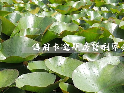 信用卡逾期房贷利率会上调吗