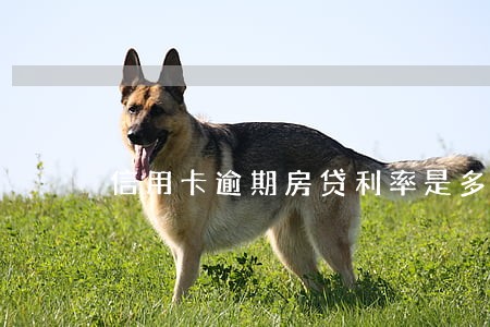 信用卡逾期房贷利率是多少 信用卡逾期房贷利率是多少