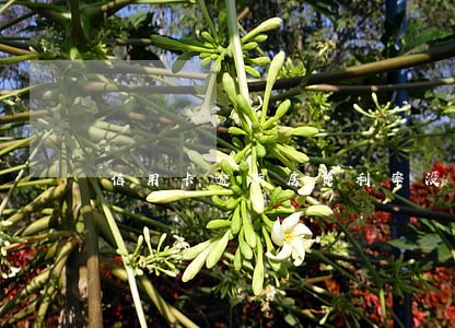 信用卡逾期房贷利率没有上浮 信用卡逾期房贷利率没有上浮