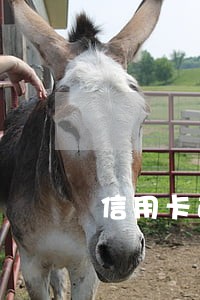 信用卡逾期房贷天涯 信用卡逾期房贷天涯