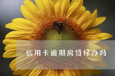 信用卡逾期房贷好办吗 信用卡逾期房贷好办吗