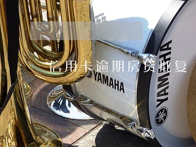 信用卡逾期房贷批复 信用卡逾期房贷批复