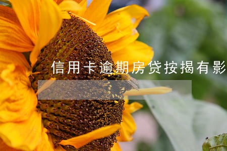 信用卡逾期房贷按揭有影响吗