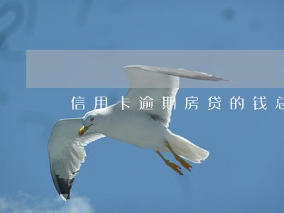 信用卡逾期房贷的钱总被扣走