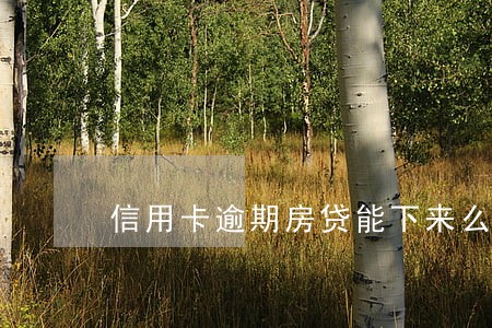 信用卡逾期房贷能下来么 信用卡逾期房贷能下来么