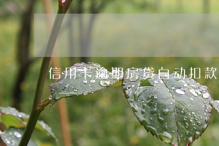 信用卡逾期房贷自动扣款 信用卡逾期房贷自动扣款