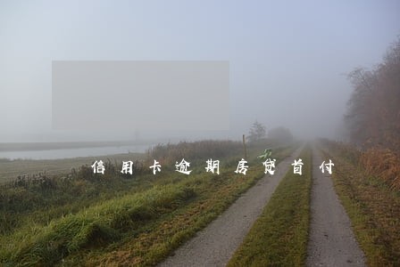 信用卡逾期房贷首付
