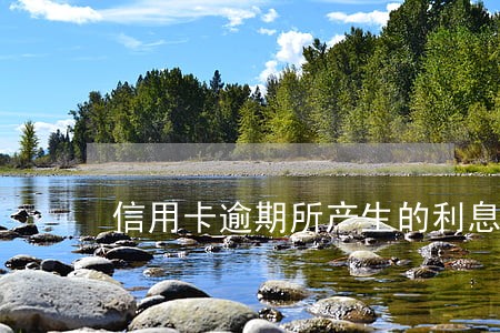 信用卡逾期所产生的利息如何解决 信用卡逾期所产生的利息如何解决