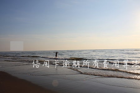 信用卡逾期所有费用算法 信用卡逾期所有费用算法