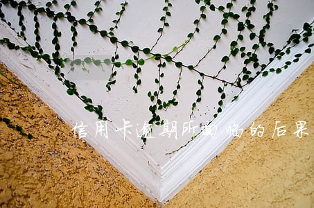 信用卡逾期所面临的后果 信用卡逾期所面临的后果