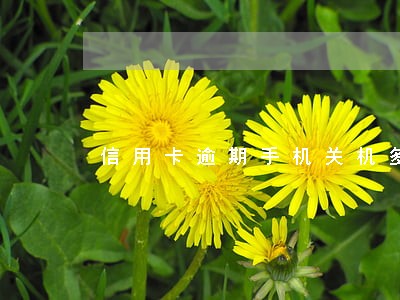 信用卡逾期手机关机多久起诉 信用卡逾期手机关机多久起诉