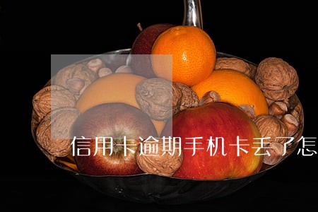 信用卡逾期手机卡丢了怎么办 信用卡逾期手机卡丢了怎么办